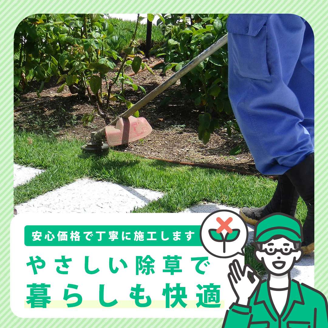 popup_banner