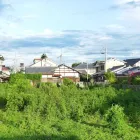 特徴